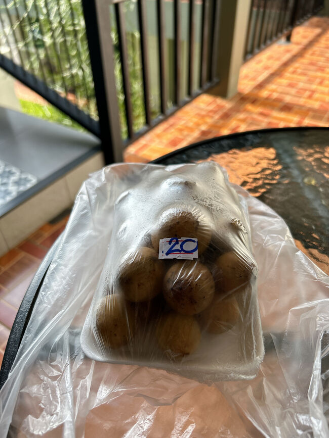チェンマイ3日目です。<br /><br />次の街への移動前に洗濯をしておきたかったので、ホテルの前にあるランドリーショップがオープンする9時まで時間をつぶします。<br />実は昨日の夜にも一度行ったのですが、「一回宿に戻って服を取ってきてもいい？」と確認してから再度行ったら、その15分くらいの間に店がクローズしていたのです。<br /><br />のんびりタイムのお供は、昨日のサタデーマーケットで買ったロンコンというフルーツ。<br /><br />＊ロンコン：20バーツ（約90円）