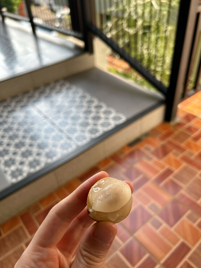 皮をむくと半透明の果肉が出てきます。<br />食感はライチに近くて、味はすっぱくないグレープフルーツみたい。<br />シェイクにしたらスポーツドリンクになりそうです。<br /><br />ランドリーショップは案の定9時を過ぎても開かず、時間がもったいないので他のお店で洗濯してもらうことにしました。