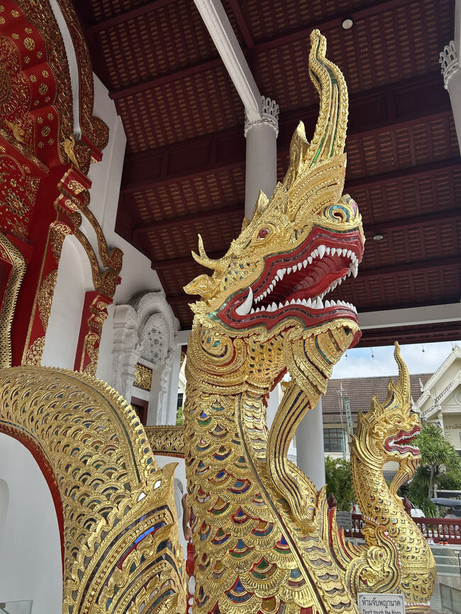 ナーガも他のお寺以上に豪華な気がする。