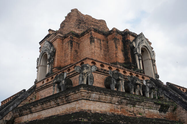 正面からは見えなかった象たち。<br />高い場所にいるからか迫力を感じます。本物の象くらい大きいかも？