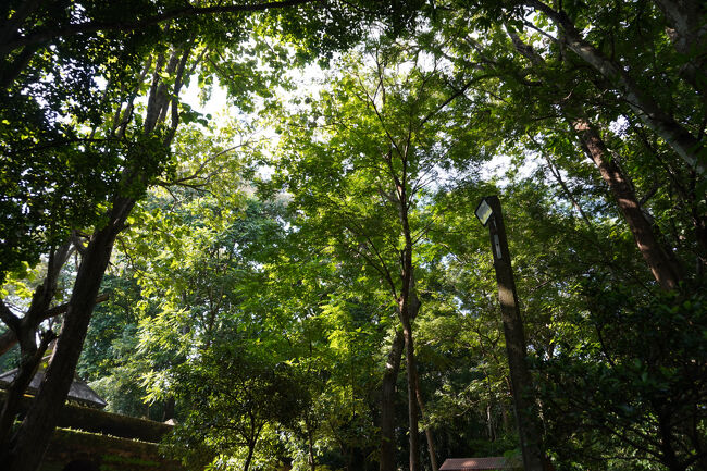 緑に囲まれていて静かな場所です。