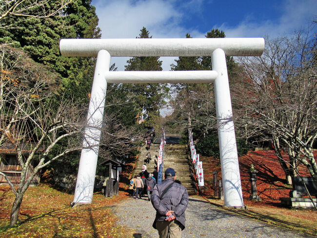 大きくて白い鳥居・・・鳥居は神社の象徴で、神さまの聖域と人間世界との境界を示し、白は清廉潔白、神聖さを表しています。<br />この大鳥居をくぐり、清々しい気持ちで拝殿へ。