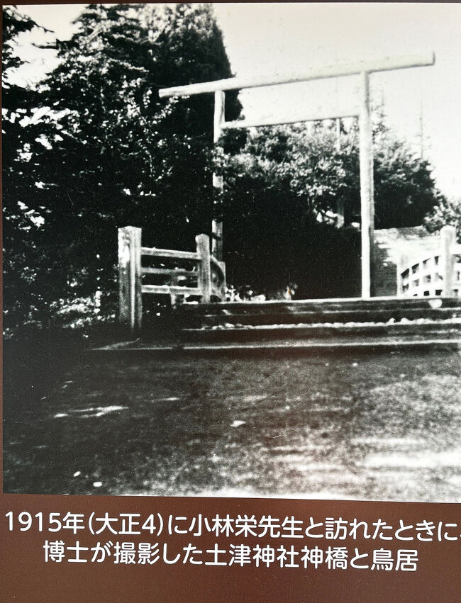 これは、大正４年（1915）に野口英世（1876～1928〉が撮った写真・・・現在の大鳥居と違って木造です。<br />猪苗代町で育った英世は、よく土津神社に参拝していました。