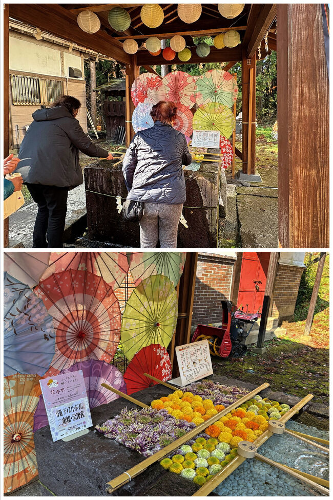 手水舎には綺麗な花手水が。