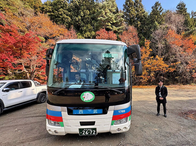 紅葉に囲まれた駐車場に停まっているのが、今回お世話になった西武観光のバス。