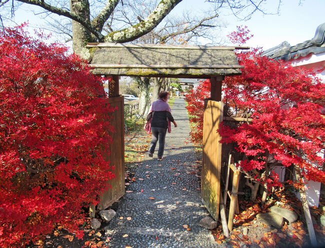 真っ赤なドウダンツツジに囲まれた門をくぐって、最初に「旧中畑陣屋」へ。