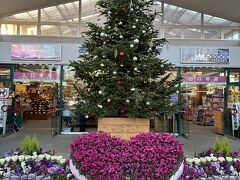 パパが会社を早めに帰ってきて、２時半頃自宅出発高速で少し休憩おやつタイムをして４時あしかがフラワーパーク到着