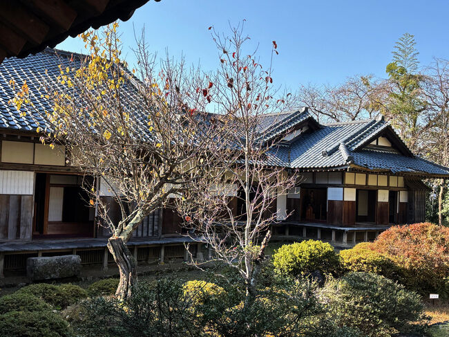 「渡り廊下」から見た「中庭」。