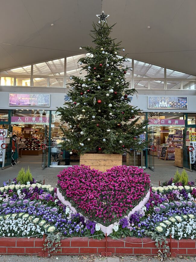 パパが会社を早めに帰ってきて、２時半頃自宅出発高速で少し休憩おやつタイムをして４時あしかがフラワーパーク到着