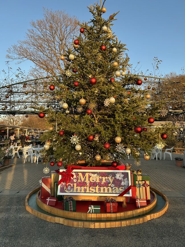 まだ明るいうちに到着して明るい園内を１週見学