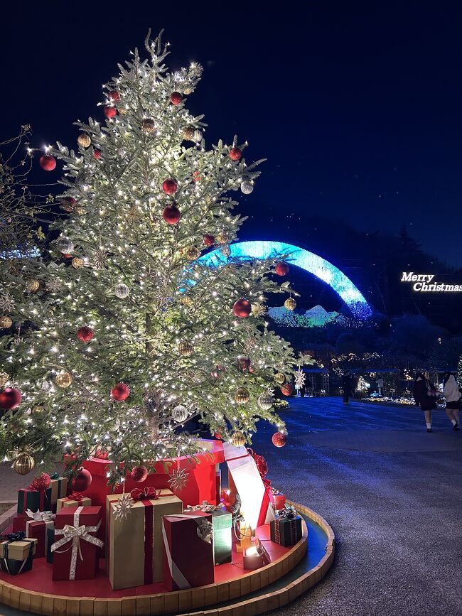 ５時少し暗くなってきた