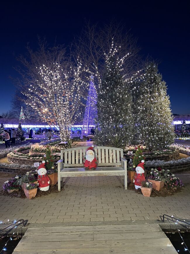 金曜日に行ったからか風が強くて寒い予報だからか人も少なく混雑なく見られた<br />