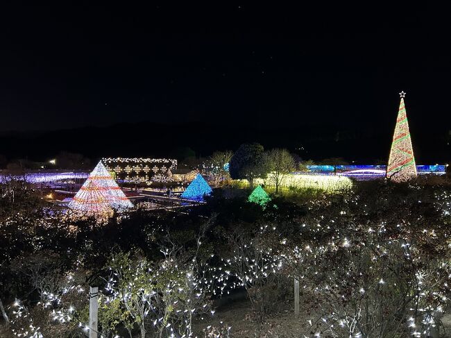 そんなに遠くないが１度も来たことがなかったあしかがフラワーパーク