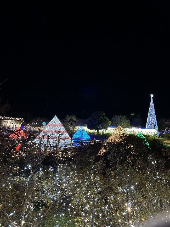 上から園内を見渡すのもとてもきれい