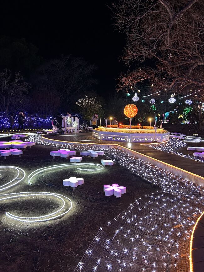 思っていたよりすごくてきれいで来てよかった