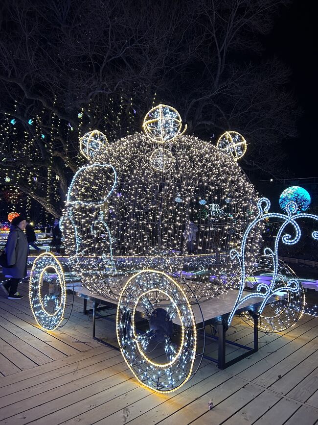 天気予報が微妙で来年２月までやっているので延期にしようかと思ったが思い切って来てよかった