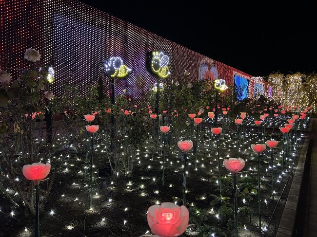 「光の薔薇園」