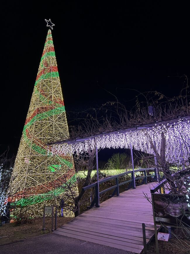 あしかがフラワーパーク