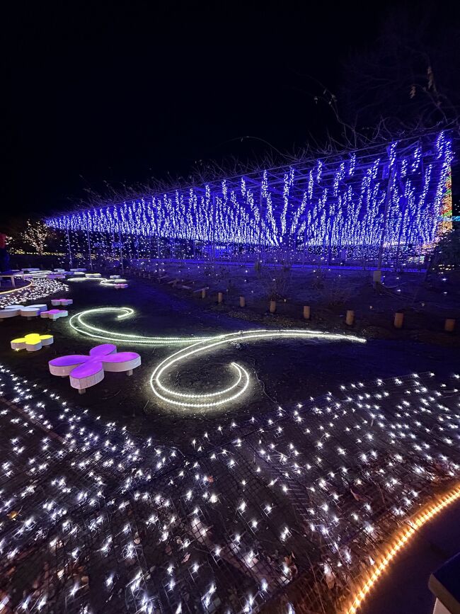 あしかがフラワーパーク