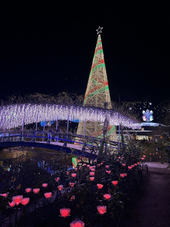 あしかがフラワーパーク