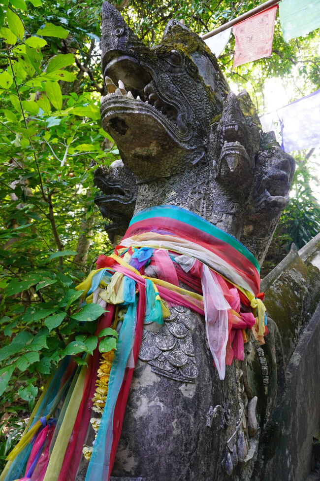 カラフルな布が掛けられたナーガの像。<br />階段を上って、仏塔を見に行きます。