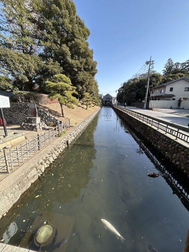 お寺の周りはお堀のよう大きな鯉やカモがたくさん