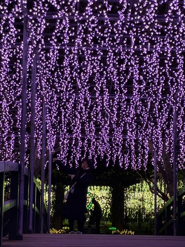 あしかがフラワーパーク