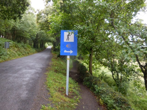 スペインの熟年カップルが木陰で休んでいたので自分も一緒に休憩していると家族連れがやって来て奥さんがダウンと言うのを知りました。携帯で連絡するとやがてタクシーがやって来たので、こんな簡単にタクシーを呼べるのなら安心だな。この辺りのタクシーは、タクシーカミーノと言うらしいです。へばった巡礼御用達のようです。<br />８７歳のリッチマン島田さんも当然携帯電話を持っているだろうから、こうやってタクシーを呼んでるんですね。こんだけ手軽に呼べるんなら８７歳でも安心して歩けるってことですね。