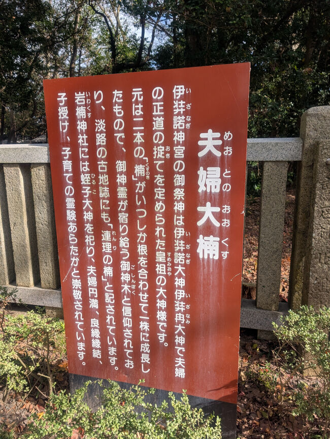 兵庫県指定天然記念物<br />樹齢約900年