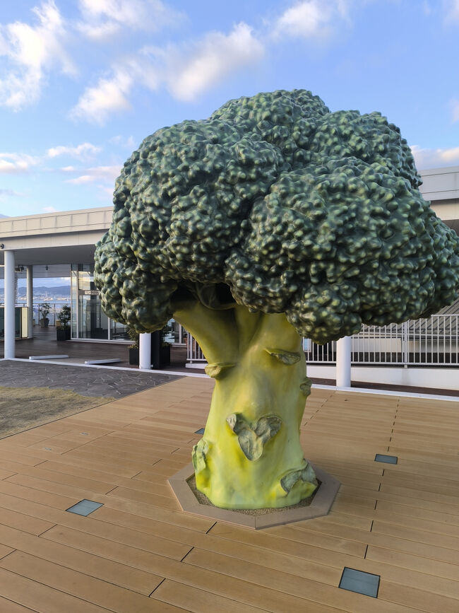 屋上にブロッコリーツリー