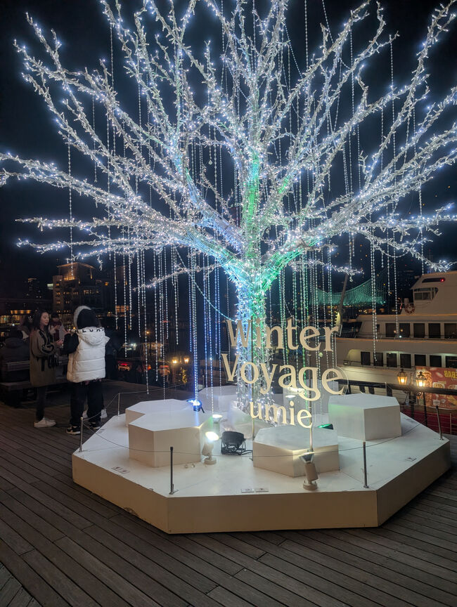 ホワイト電球も素敵です