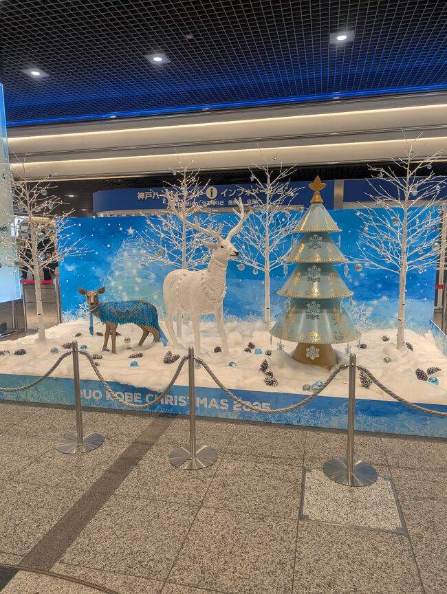 歩いてホテルに戻ります<br />デュオ神戸のクリスマスイルミネーション