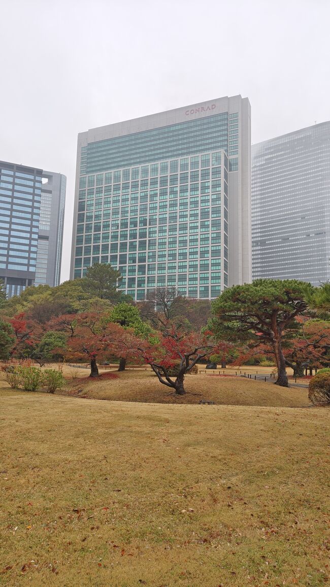 「浜離宮恩賜公園」では、散策しながら「コンラッド東京」ビルの撮影ポイントを探します。<br />この旅行記の表紙写真にするためです。