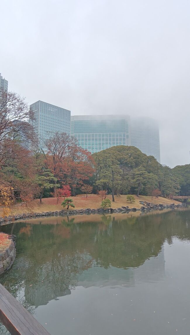 散策途中、霧が出てきて「コンラッド東京」ビルの最上段にあるサインが見えなくなりました。<br />表紙写真を撮ることを諦め、帰ることにしました。