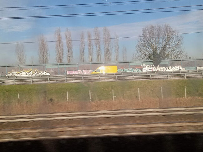 糸杉の風景大好き！