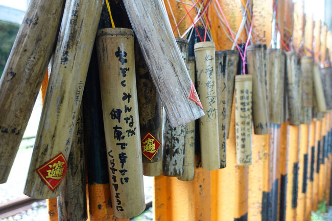 絵馬の如く、竹筒が願い事と共に吊るされとる。