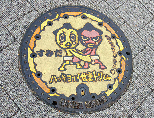 デザインマンホールもありました。