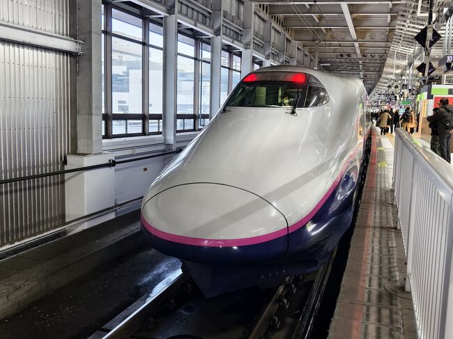 仙台駅ではやぶさ待ってたら、風前の灯のE2系が居た！<br />可愛いけど遅いから乗らない。<br /><br />皆様、良いお年を！