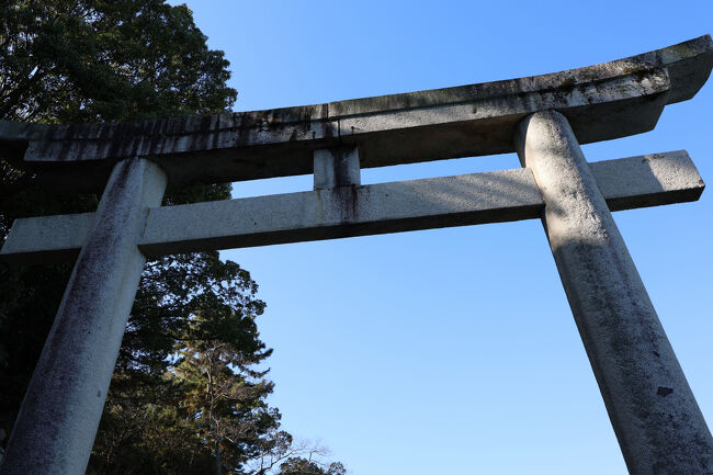 鳥居をくぐって、厳島神社の境内へ。