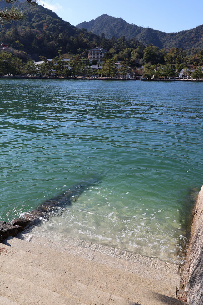 昨日の夕方は下まで降りられた階段も、半分ほど海の中。