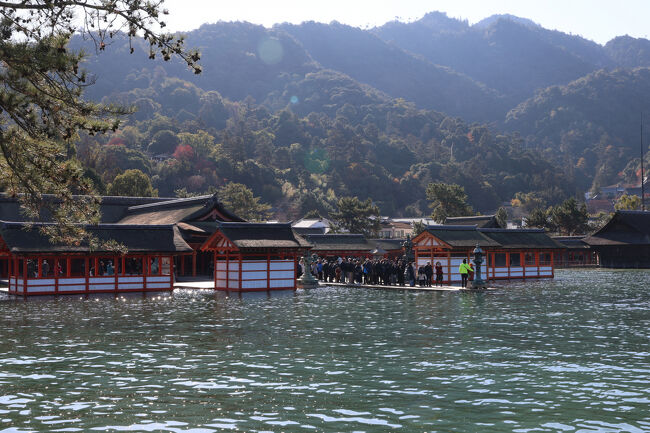 本殿の方を見ると…<br />舞台や社殿すれすれまで海面が迫っています。