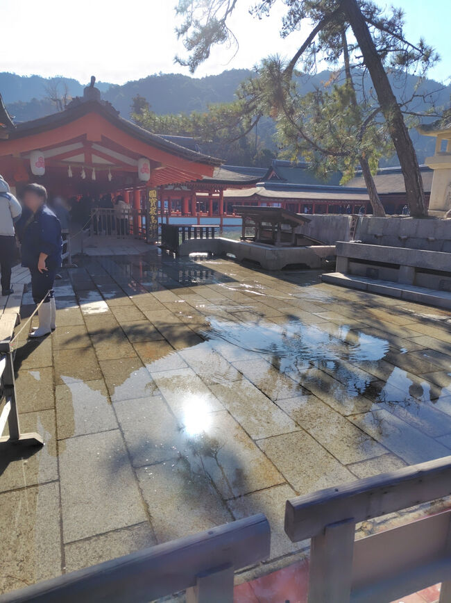 潮位の影響か団体入場は規制されてましたが、個人の入場は問題なかったので、社殿へ。<br />社殿の入口はご覧の通り、海水に浸食されています。