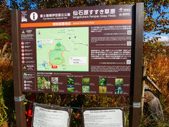 テレビで見て以来、いつか来たいと思っていた仙石原のすすき草原。
ゲートなども特になく、無料で見ることができます。