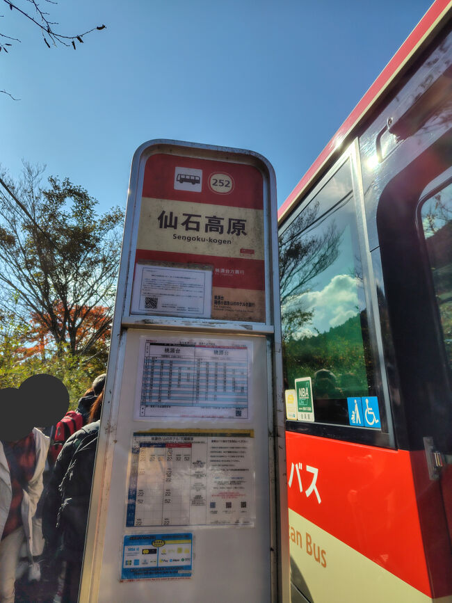 渋滞で小田原から箱根エリアに登るのに時間がかかり、時刻表から30分遅れくらいでしょうか、1時間以上バスに揺られて10：10過ぎに仙石高原へ到着。<br /><br />早起きしてきても到着がこの時間、小田原からがけっこう遠いですね。<br /><br />バスは途中の強羅から人がたくさん乗ってきたので、始発？の小田原から乗って座れたのは正解でした。