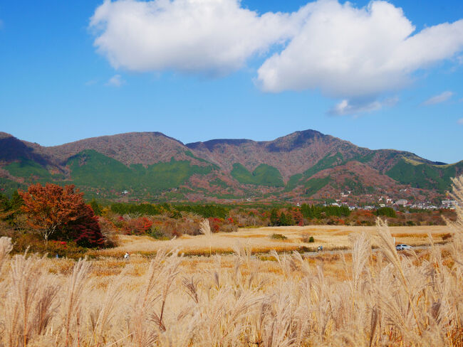 反対側はこんな風景です。<br />車道挟んだ向こう側もススキ原が続いています。