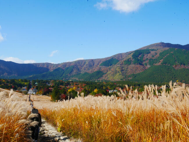 私は1本道の突き当たりまで行きました。<br />