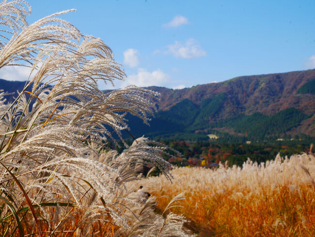 でも突き当たりまで行っても特に何もなかったので、即、Uターン。<br /><br />写真撮りまくりでなかなか前に進まない私のペースで片道40分ほどでした。<br />こんなに写真撮らなければこの半分くらいの時間でも楽しめると思います。