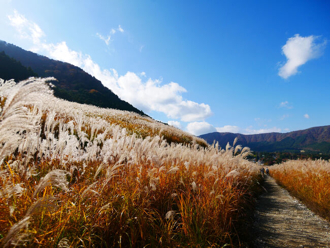 この先まだいろいろ巡りたいので帰り道は早足で戻ります。