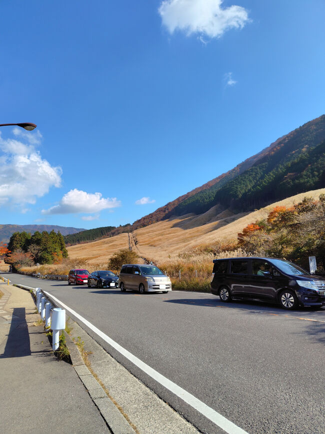 11：10。歩いて移動します。<br />1時間の写真散歩でした。