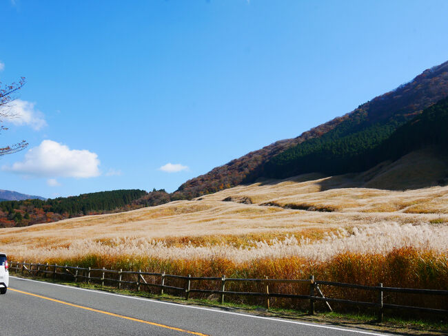 車道から引いて見るのもまた良いですね。